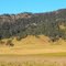 Bucketts Way - East of Gloucester - NSW