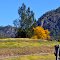 Barrington Tops