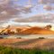 Goondiwindi wheat harvest