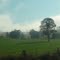 The hills are alive;