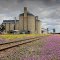 Silo and Tracks .Goondiwindi.  Qld