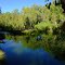 Gregory River - A place to sit and muse