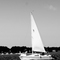 Sailing on Lake Columbia
