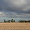 Kidman way Goolgowi