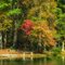 Fall is starting here in NC