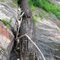 Wooden pipe