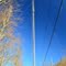The Mast