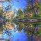 Reflective image