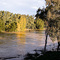 The Castlereagh River at Gilgandra after the June 2007 rain.