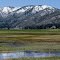 Wet meadow near Franktown. Washoe Valley and Carson mountain range