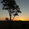 Sunrise Torquay Rd
