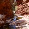 Glen Cumming Gorge
