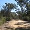 wallaby rocks road