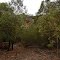 track to the olive grove caves