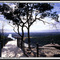 Mount Portal Lookout, looking towards Penrith, N.S.W.