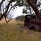 Rust in Pieces faithful old truck...