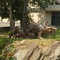 wild animals