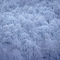 Frosty Tops