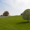 Lionshare Farm