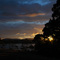 Bracken ridge arvo
