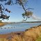 Foreshore Walk, George Town, Tasmania 2011