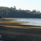 Beauty Point