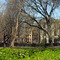 East 10th Street and Avenues A and B, north from Tompkins Square Park, NYC - April 2008