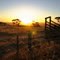 Australian Country Sunset