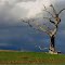 Oncoming Weather  Finnis Sa