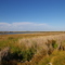 Goolwa Barrage across Lower Murray