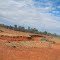 Dry Creek Bed North of Windorah