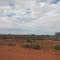 Desert North of Windorah