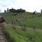Right hand bend on the c17 802 Mary Valley Rattler heading towards the Kandanga Bank