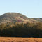Big Baldy dressed by pineapples rises above Amamoor Creek, Dagun, Queensland
