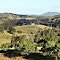 Kandanga Valley with Mt Bonoum in background, Queensland