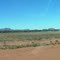 Haasts bluff airstrip