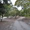 Dingo Beach picnic area