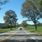 Tree-lined 20 near Warren
