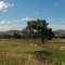 Landschaftsbeispiel