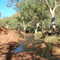 Kings Creek