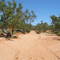River in the Outback