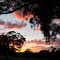 Sunset at The Farm