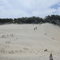 Sand Dunes on Stradbroke Island
