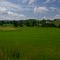 Sunny Summer Farm Country