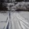 Deer Crossing