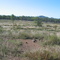 Camp Caves Area M.  Constructed in July 1943 for the US 24th Division but never used.