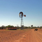 Wandering Stock at 'Hugh River Stock Route'