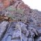Severe folding in rock formation Painted Canyon Mt Riddock Station
