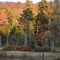 Marsh and foliage