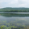 Cold Spring Pond, Stoddard, NH